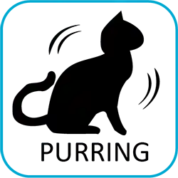 Shared Cube Icon Purring